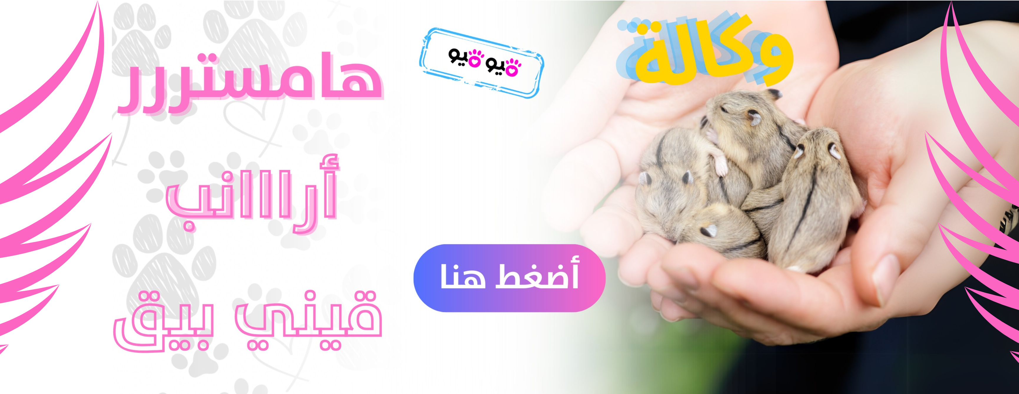 ميو ميو image-slider-0