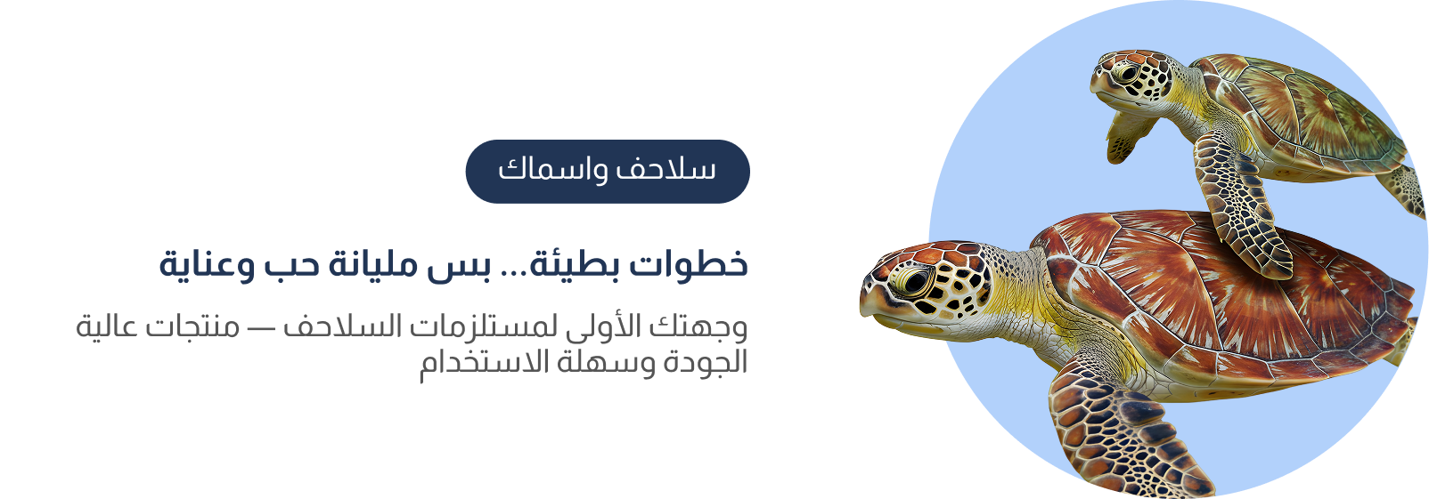 fixed banner