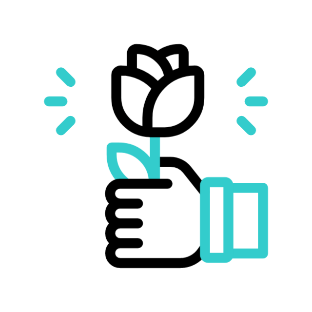 وردنا فرش يوميا