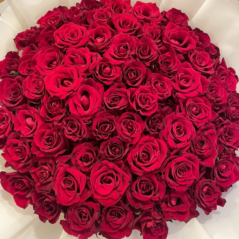 ندى الحسيني