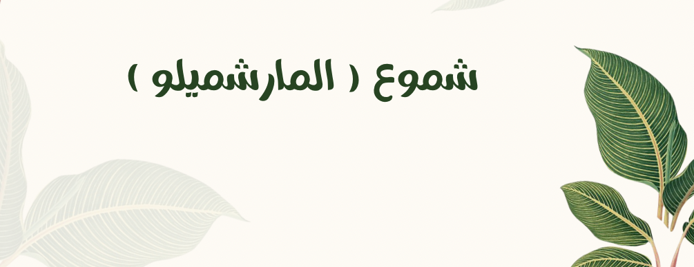 دخون الشرقيه image-slider-3