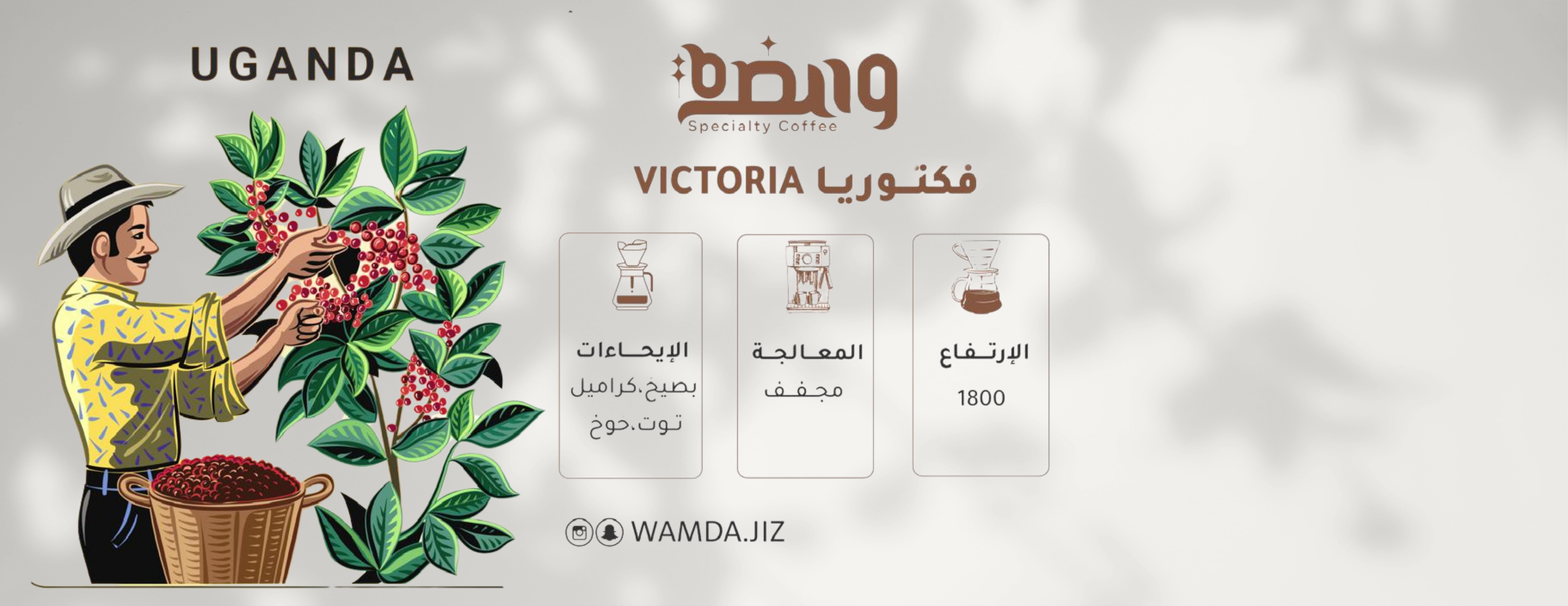WAMDA ROASTERY image-slider-2