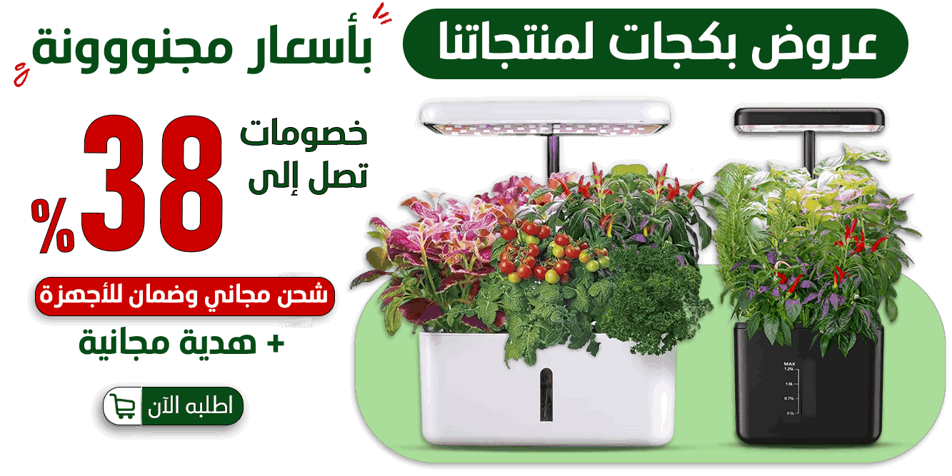 GREEN LILY image-slider-1