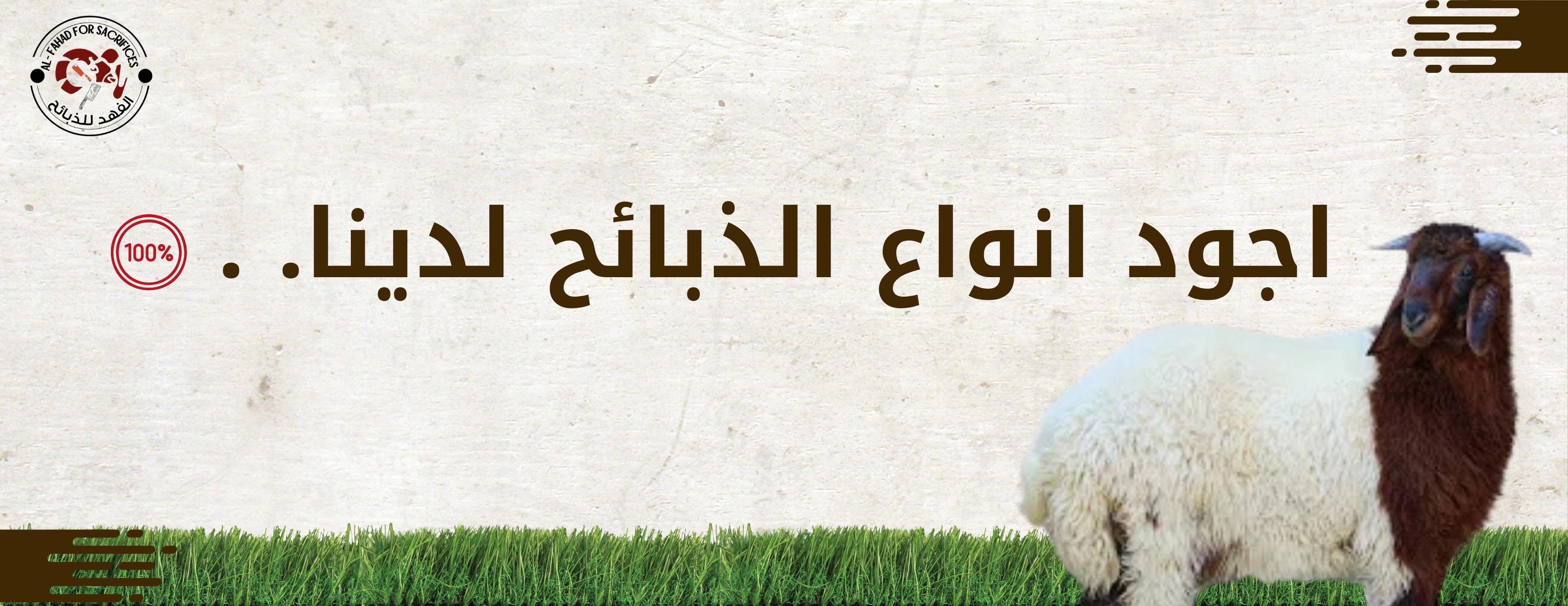 الفهد للذبائح image-slider-1