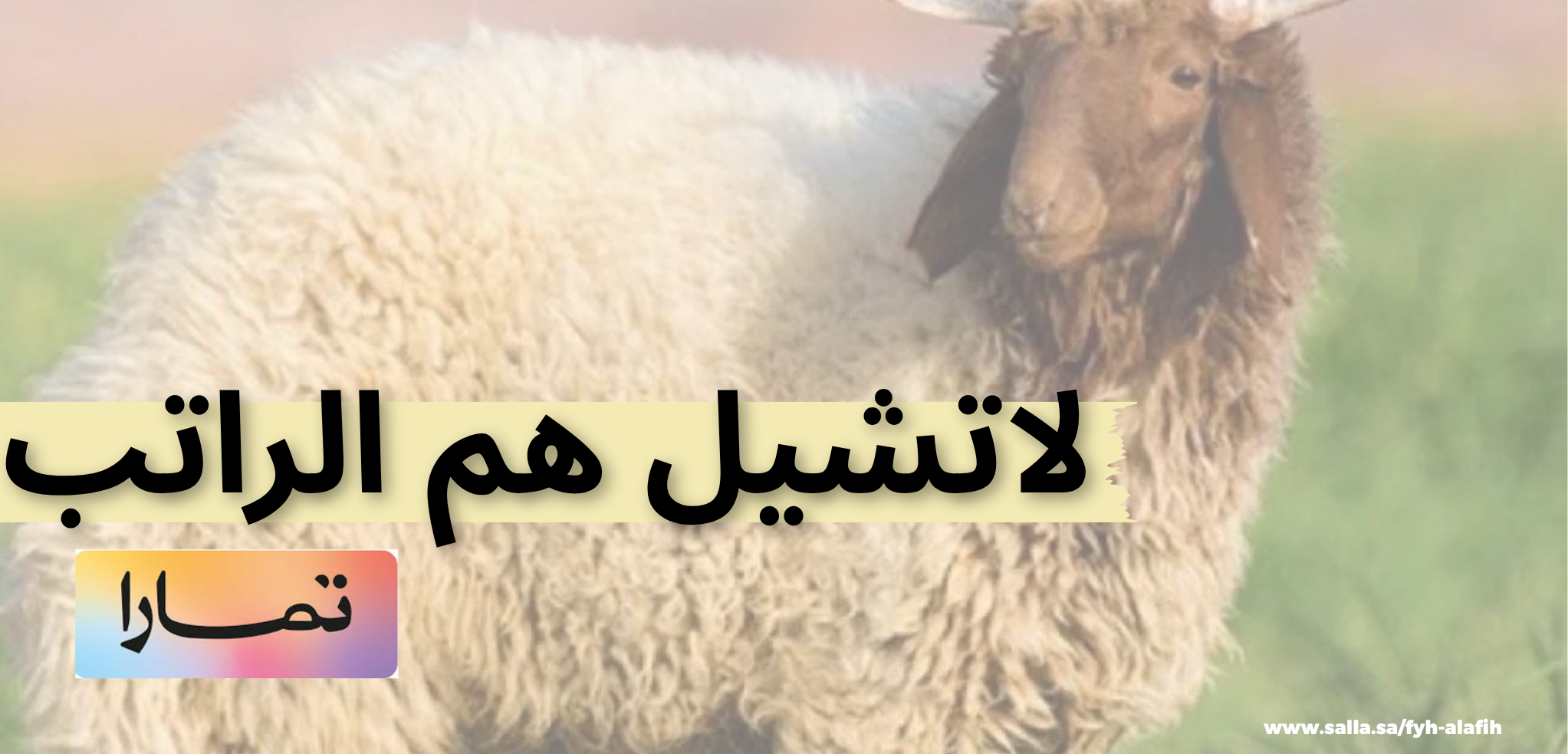 fixed banner