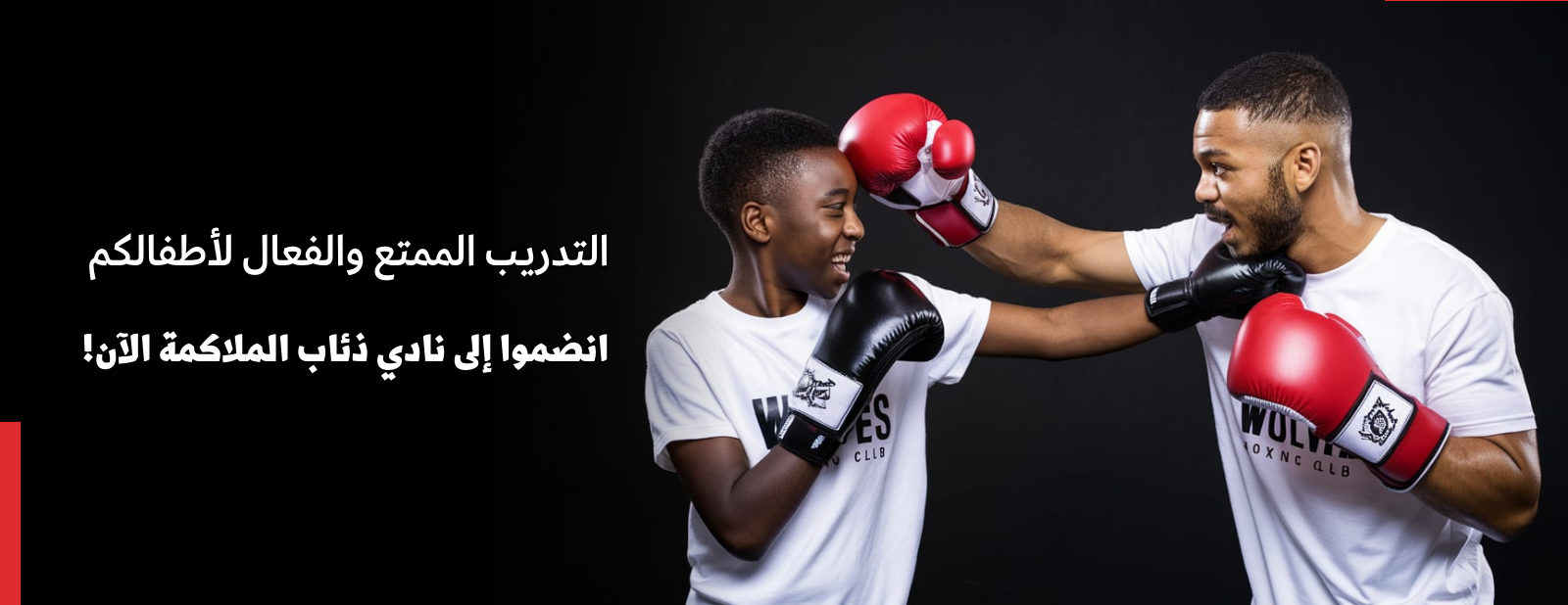 wolvesboxing image-slider-3