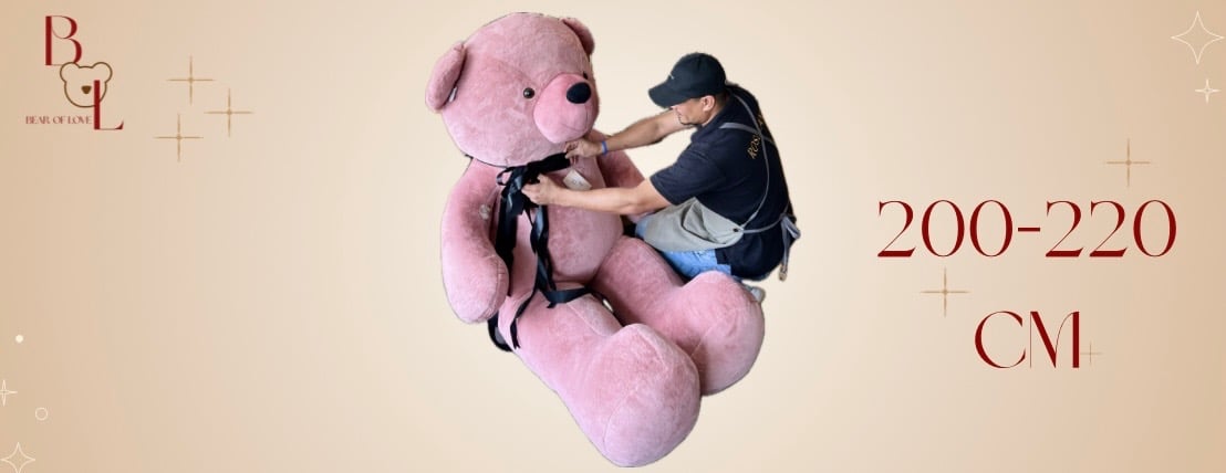 Bear Of Love image-slider-3