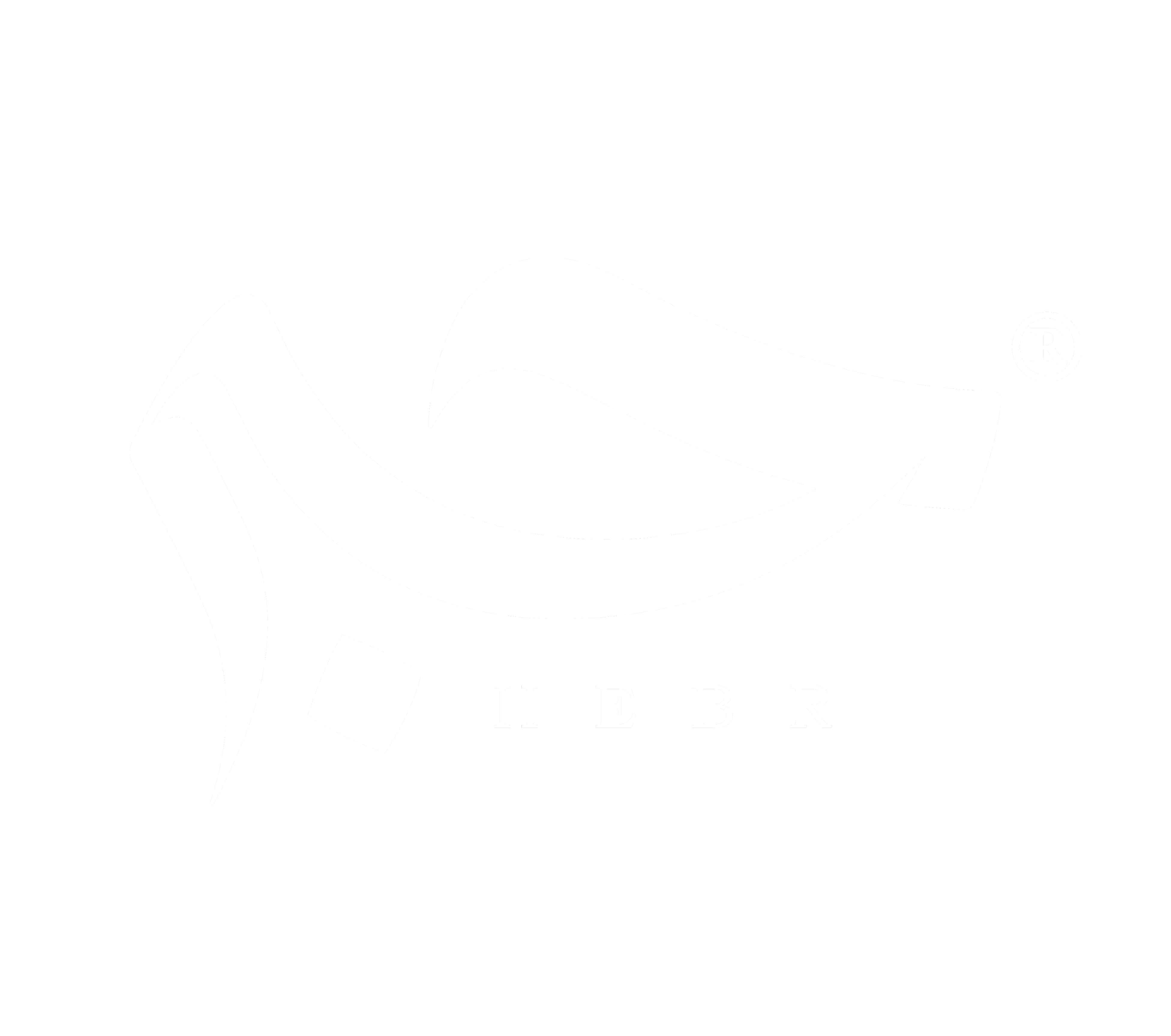 حبر