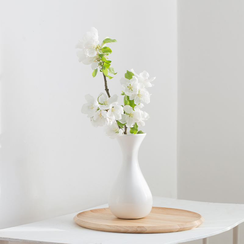 زهور في المزهريات