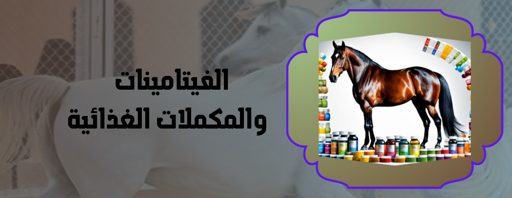رماش لمستلزمات الخيل image-slider-2