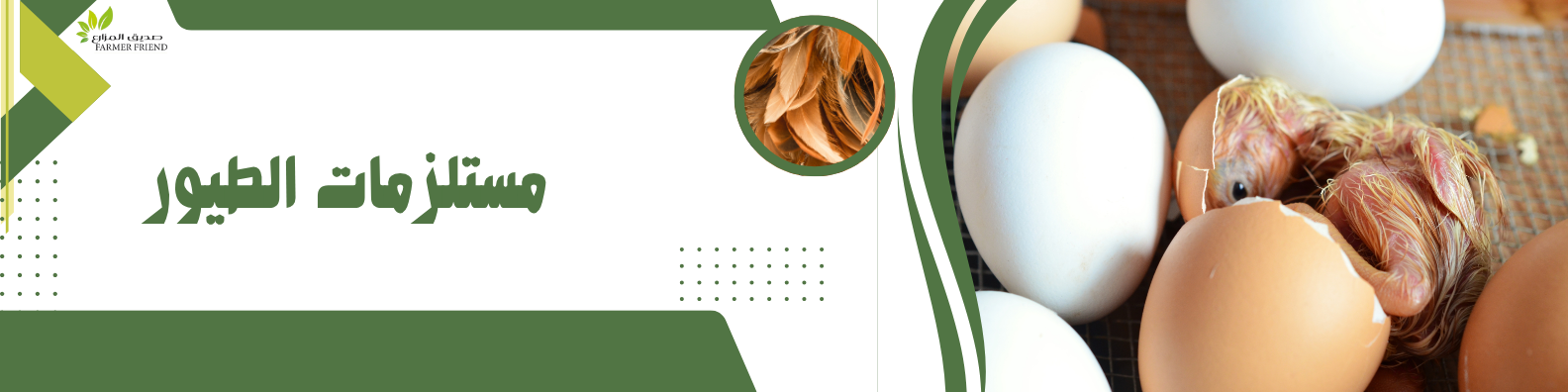 fixed banner