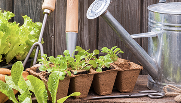 مستلزمات الزراعة