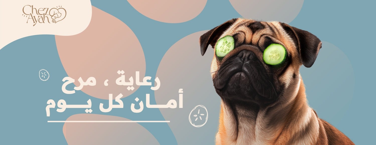 Chez Ayah Pet hotel & Daycare image-slider-1