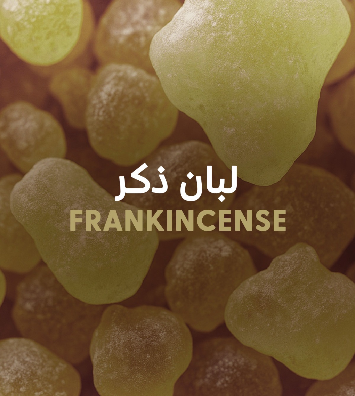 منتجات لبان الذكر