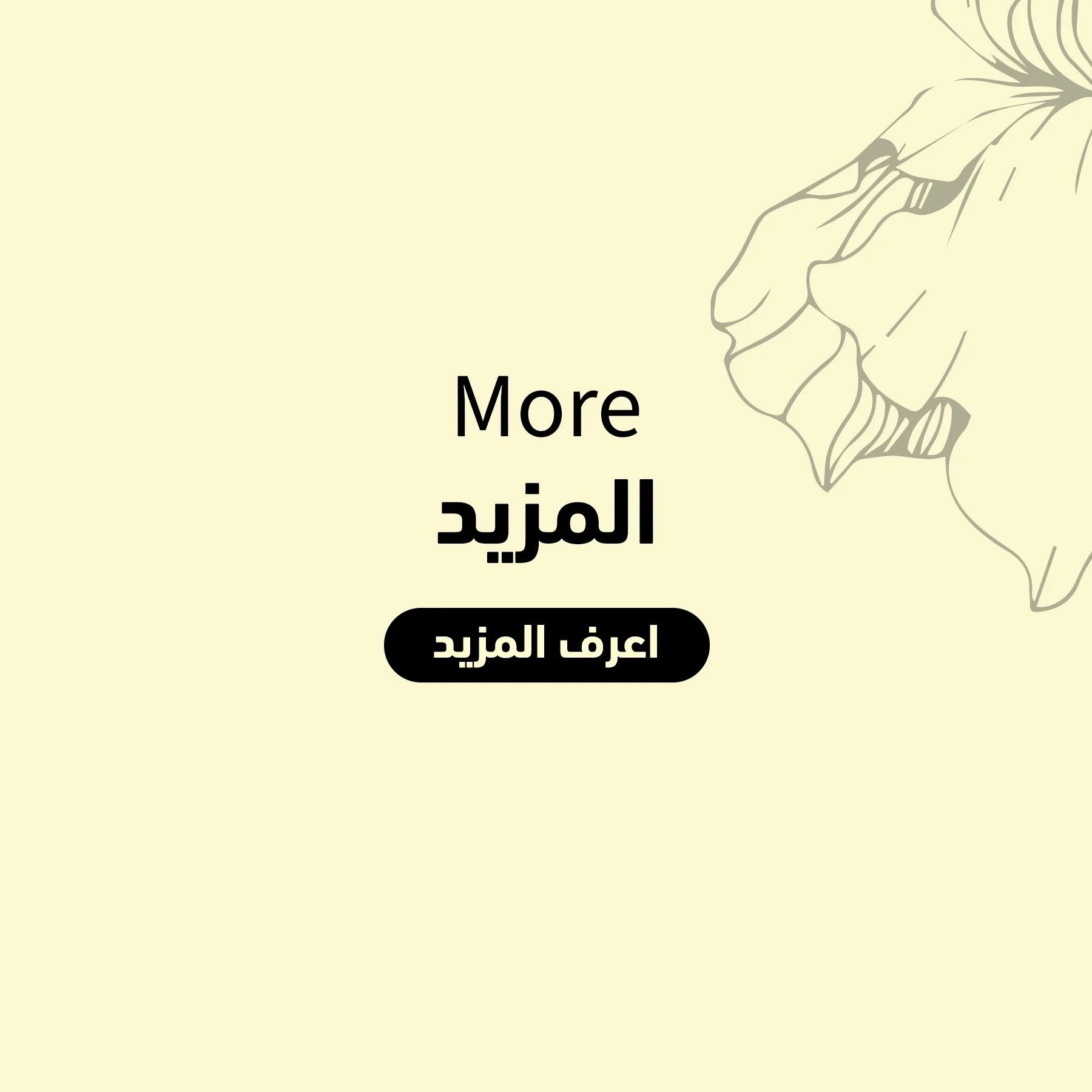 جميع المنتجات image