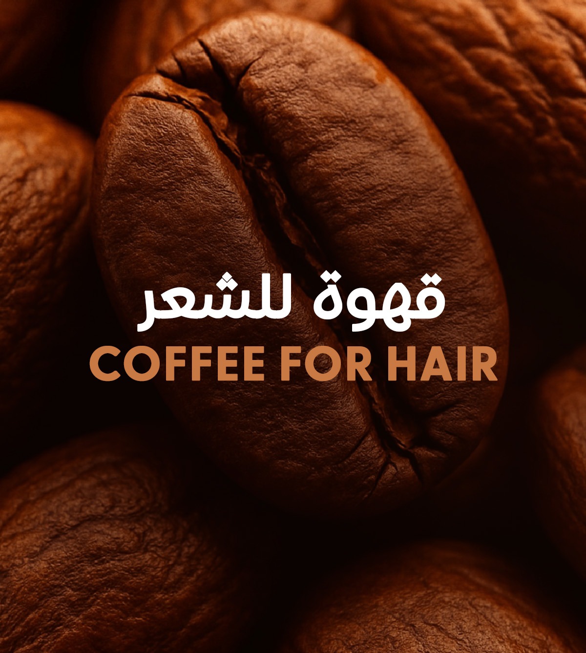 القهوة وزيت الغار