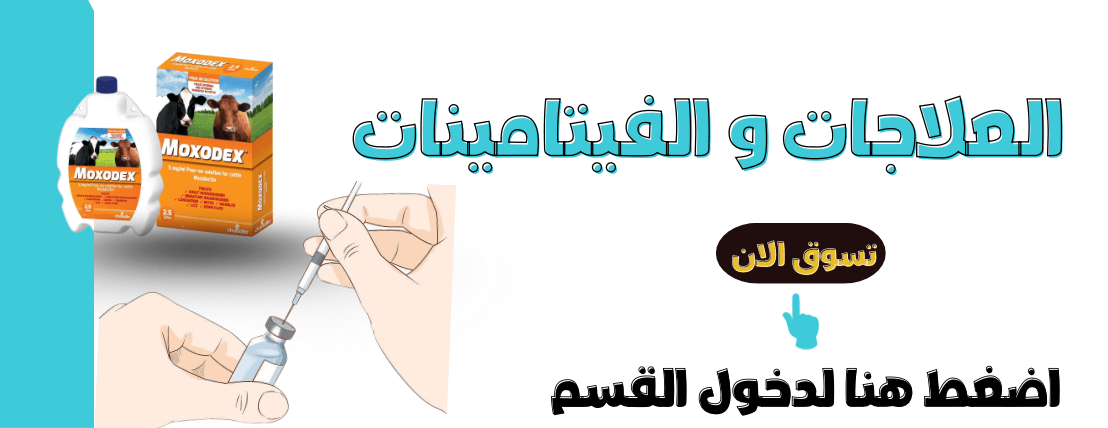 سيلين image-slider-0