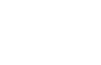 L A Z O N Logo