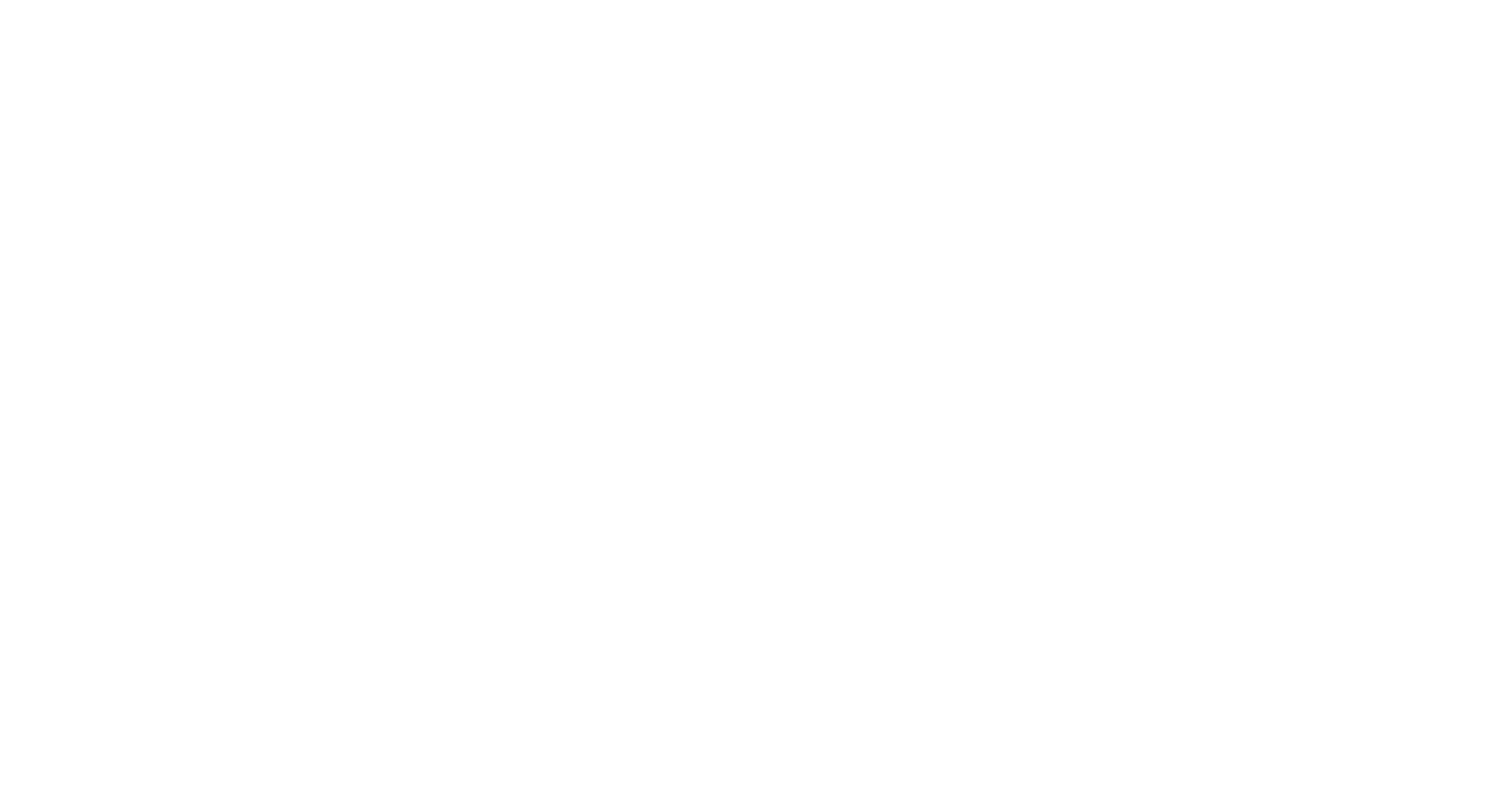 ثيم نايس logo