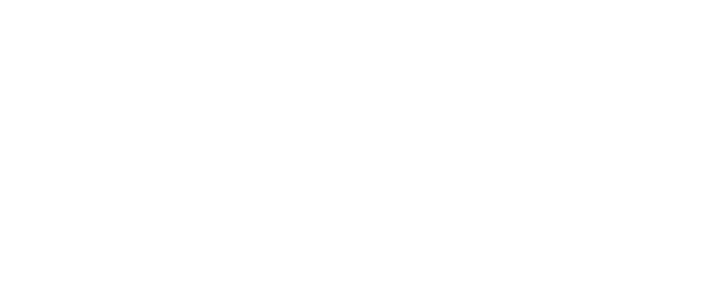 store logo img