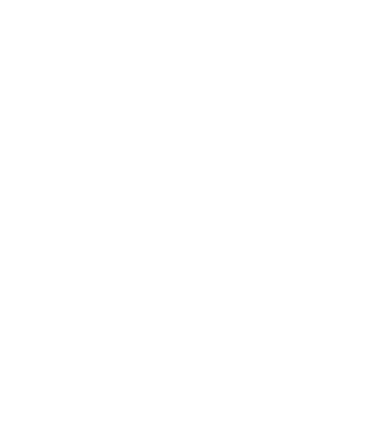 Ebra