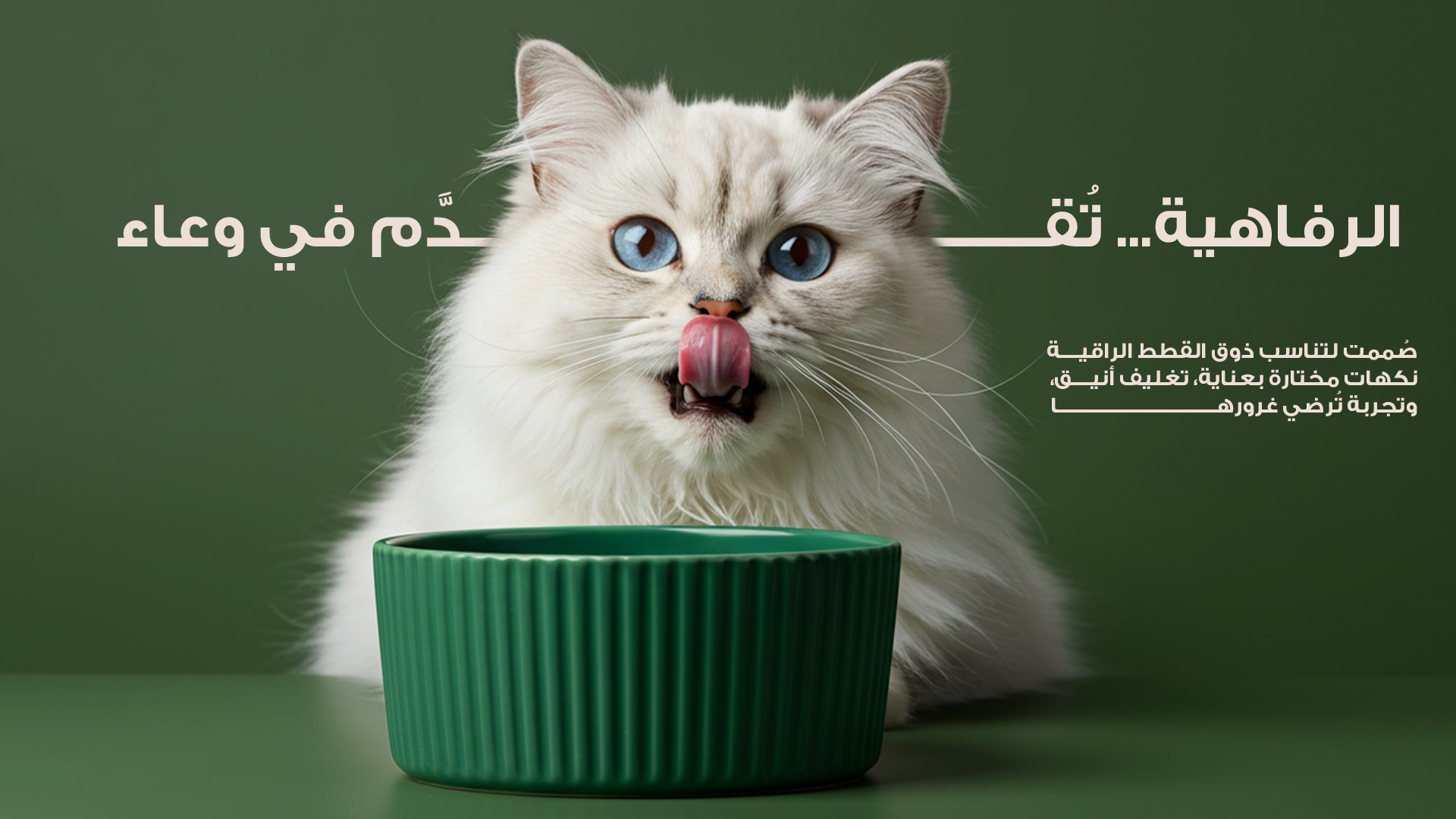 Cat Couture | كات كاتور