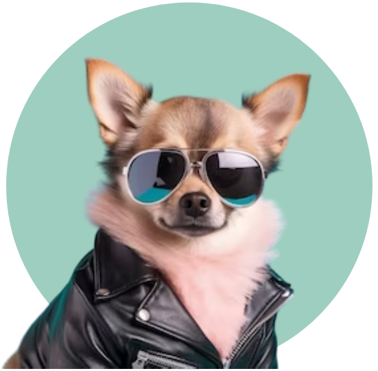 ملابس للكلاب