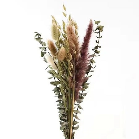 مجففات و لافندر