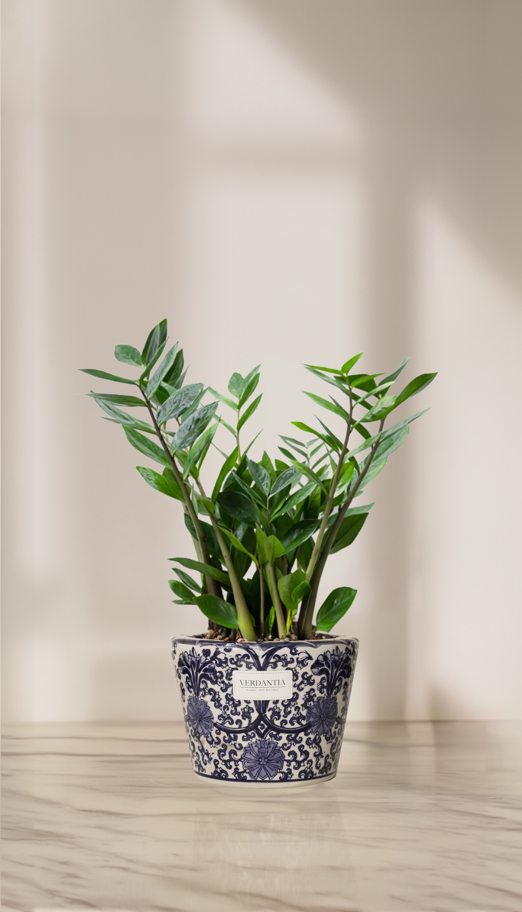 Special products slider