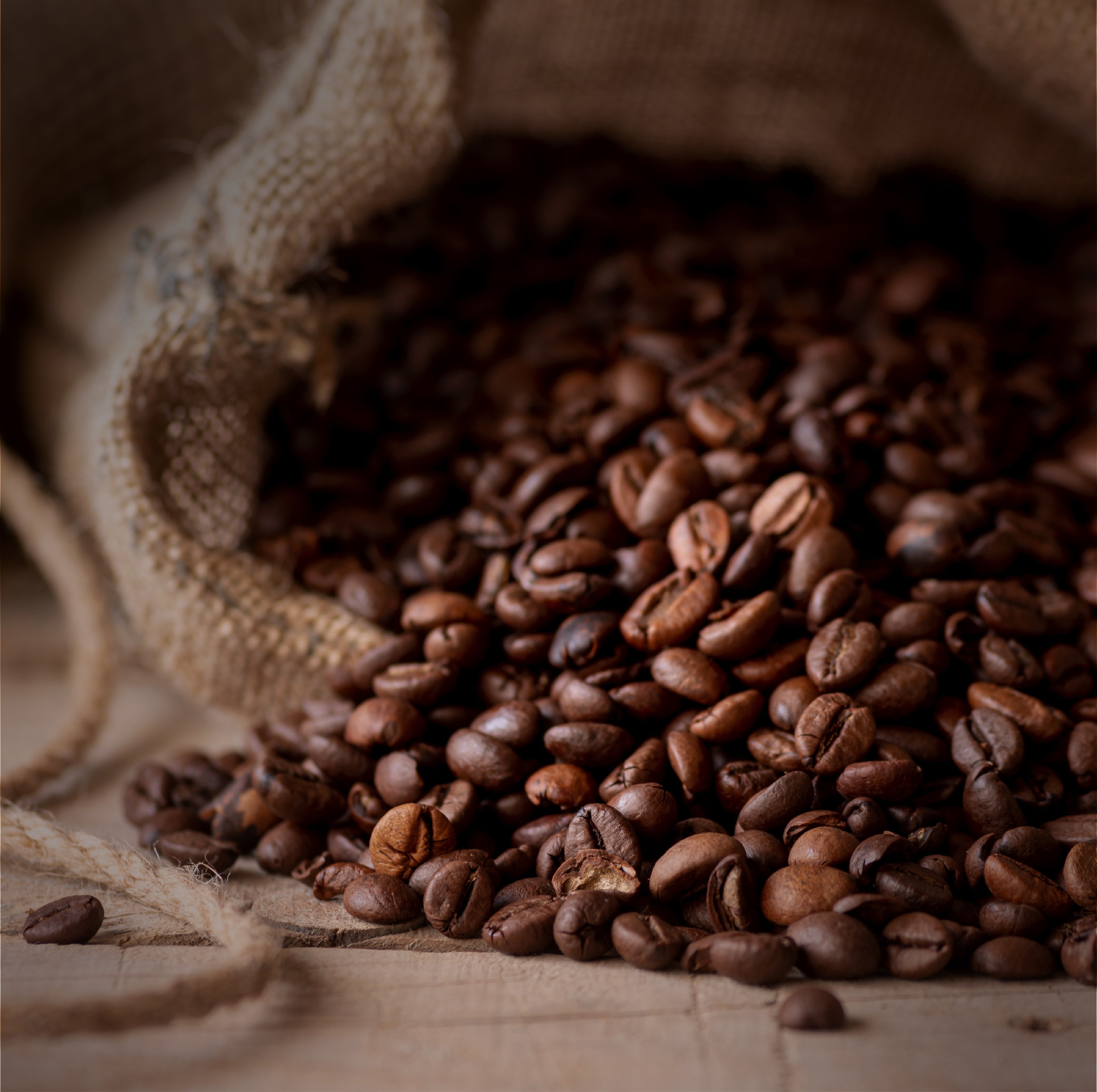 القهوة المختصة