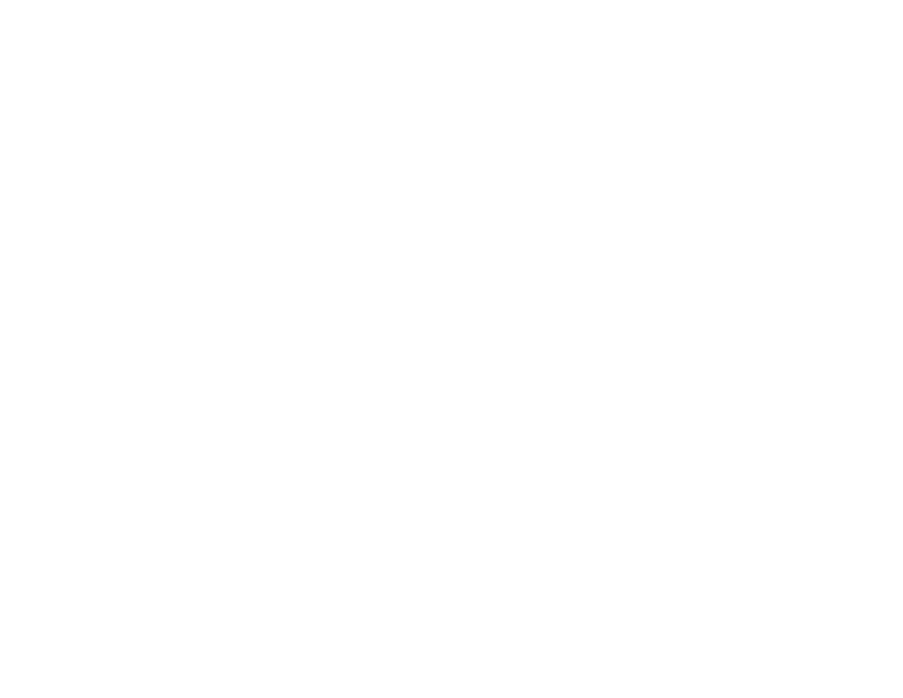 Loading Page