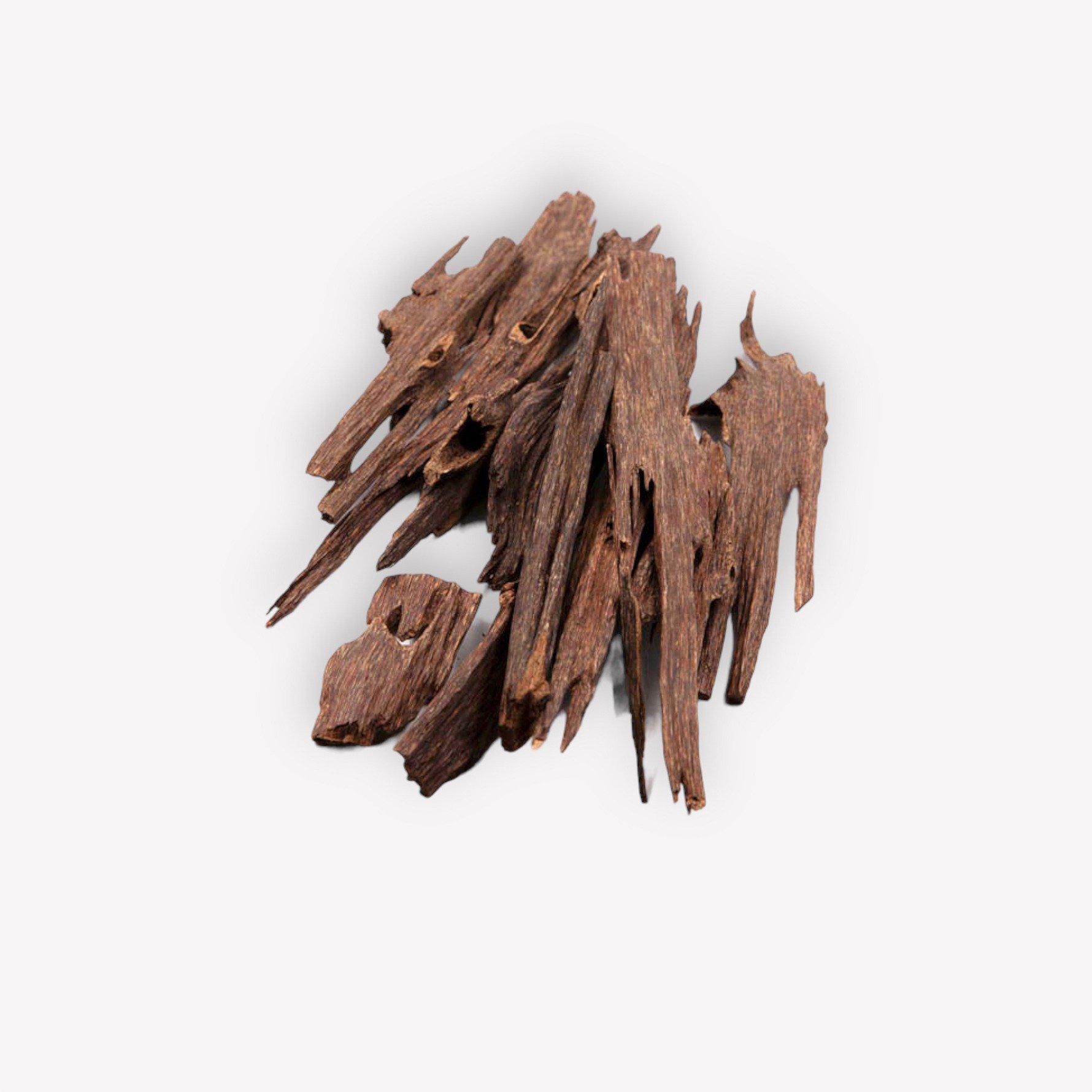https://cdn.salla.sa/form-builder/AarCJfoZdlcIT6zoOOpCmYm6p5F4vz07bQGtRfqL.jpg