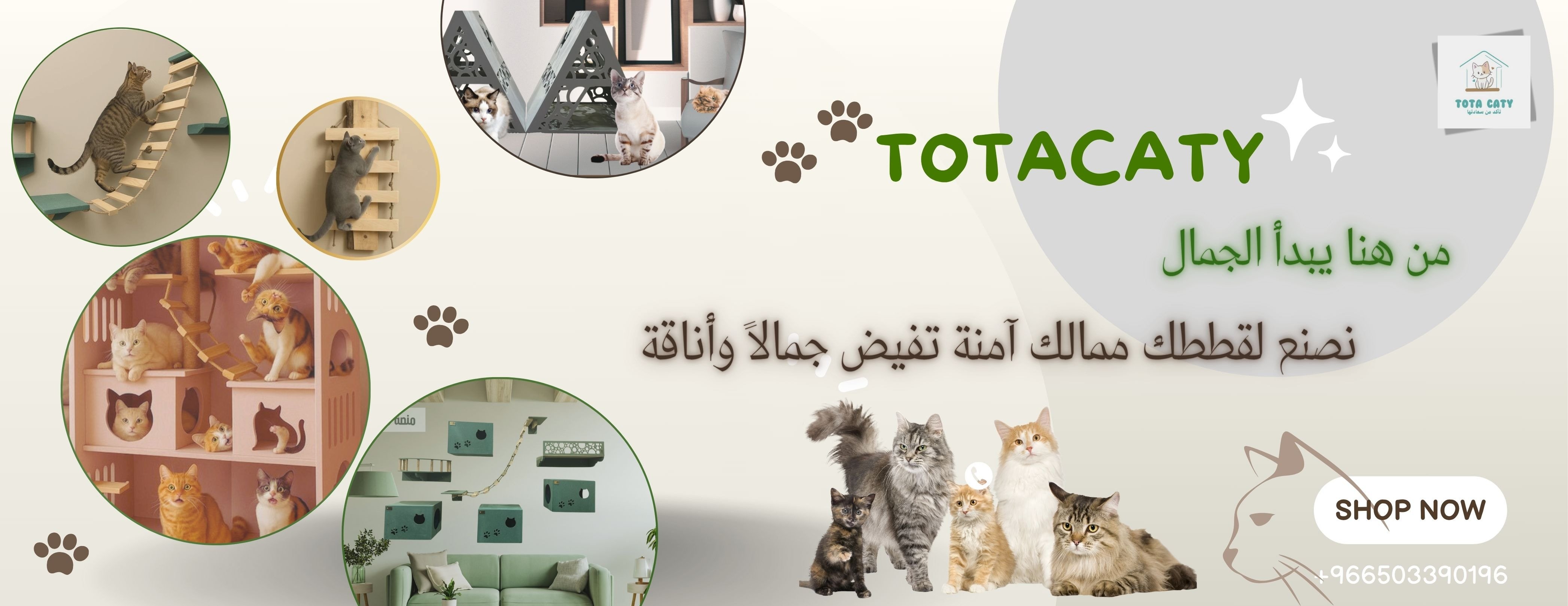 توتا كاتي image-slider-0