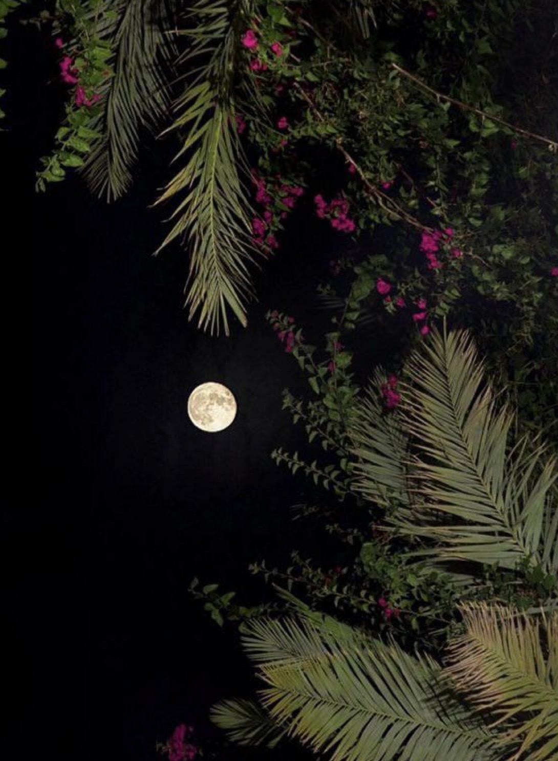 mooon