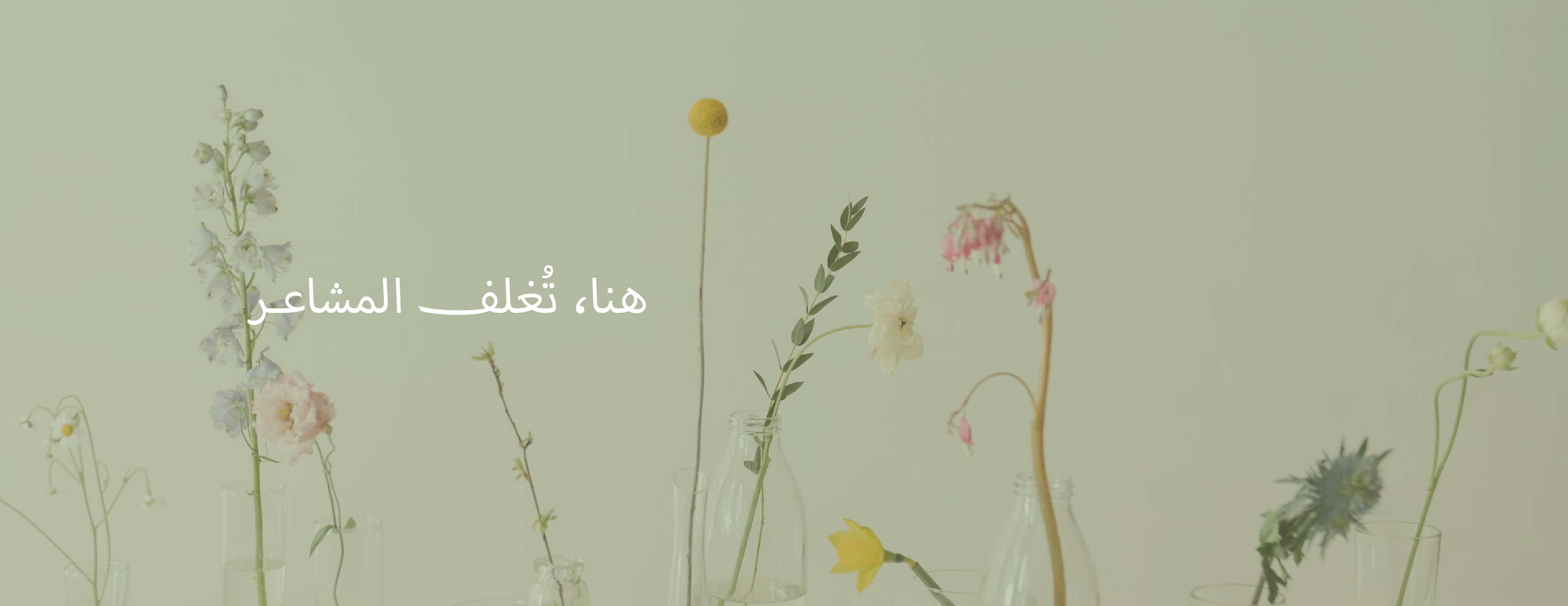 غِـــلاف image-slider-0