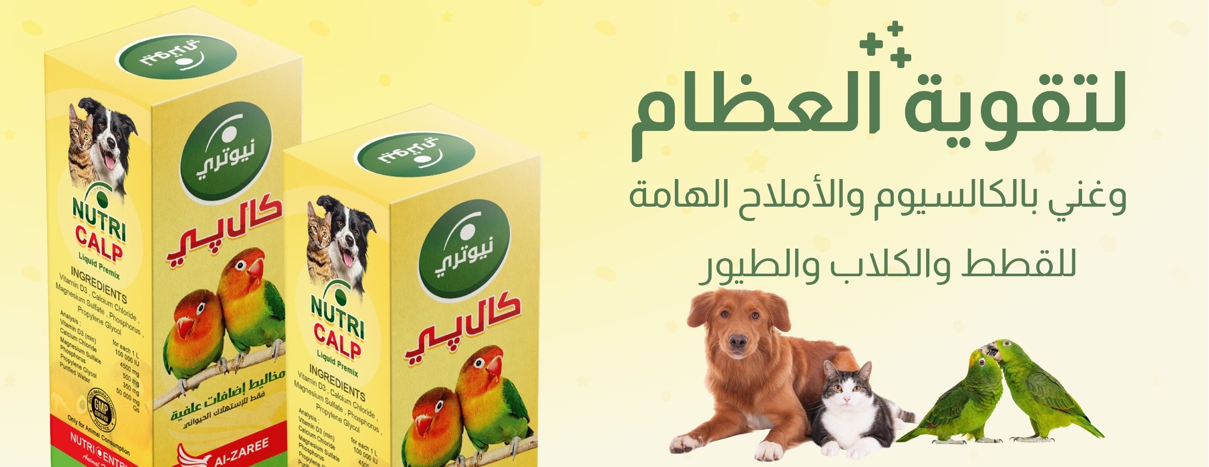 slider-banner