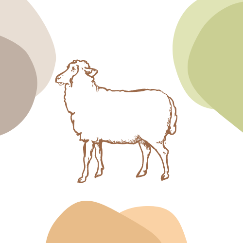 قسم البلدي-