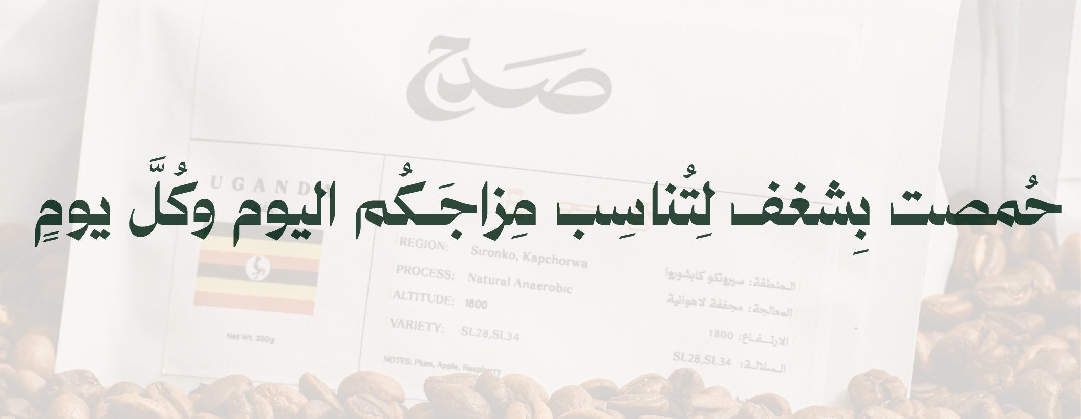 fixed banner