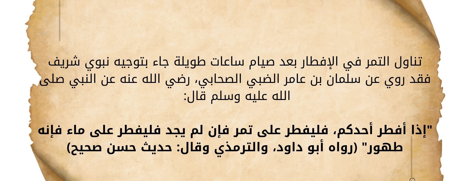 تمرة المدينة image-slider-2