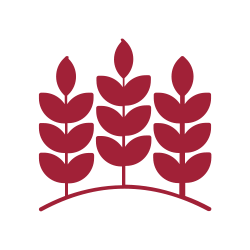 تربية مزارعنا