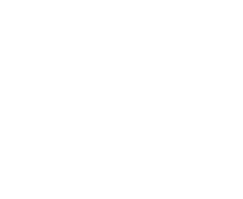 Swisstime Store logo