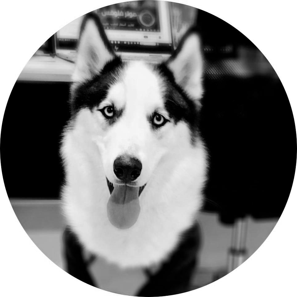 حماية البيئة و الحيوان