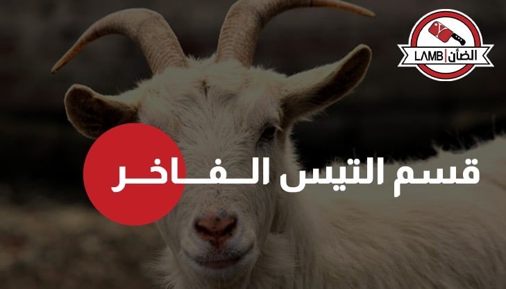 التيس الكشميري