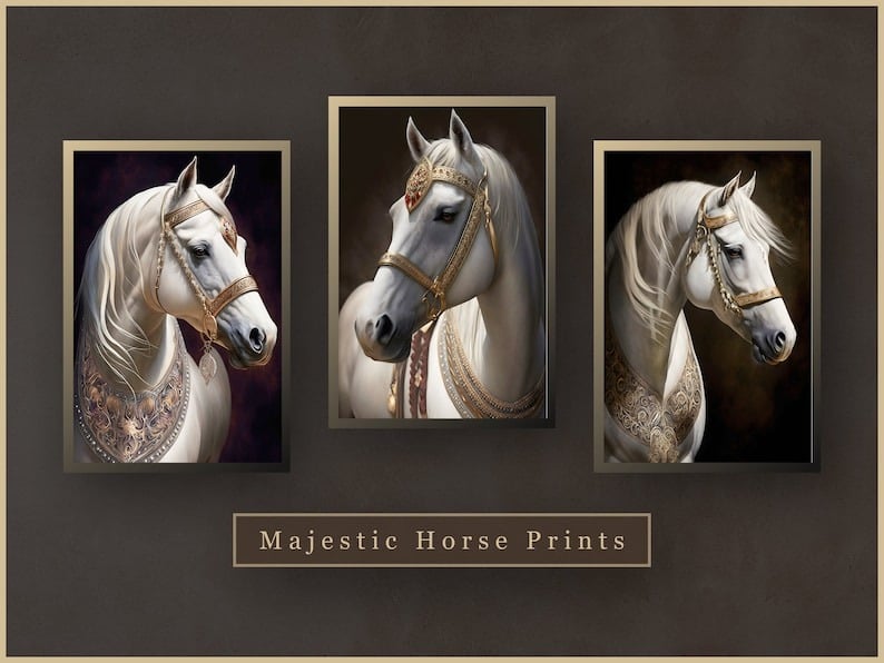 Miral Gallery image-slider-3