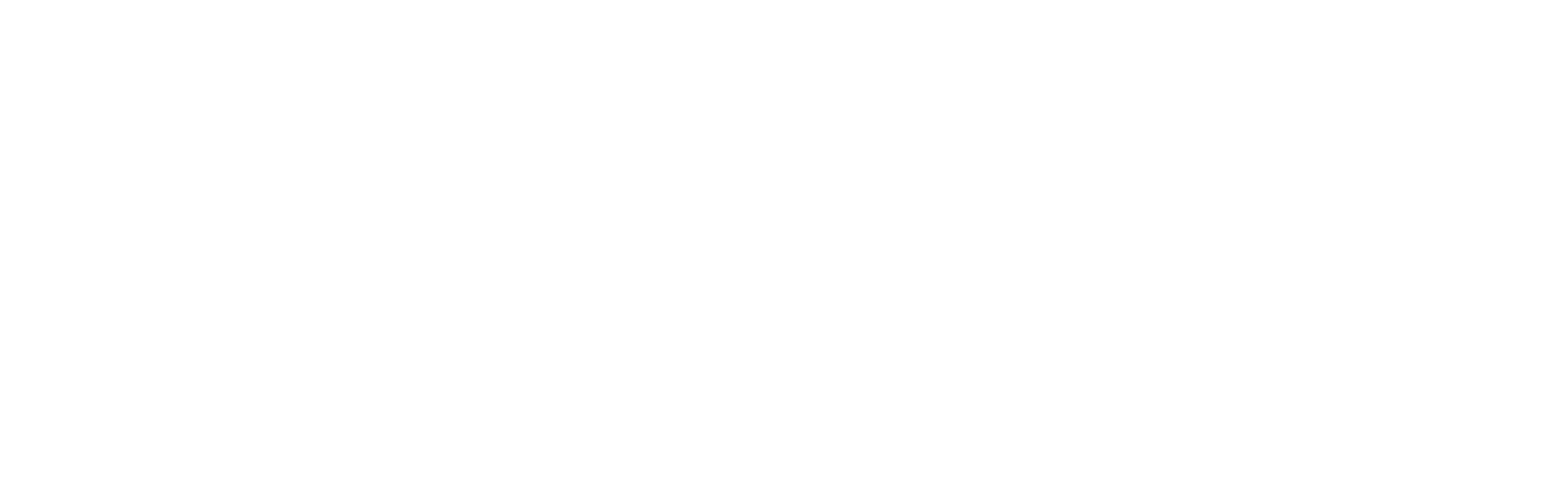 Nolix-alt-logo