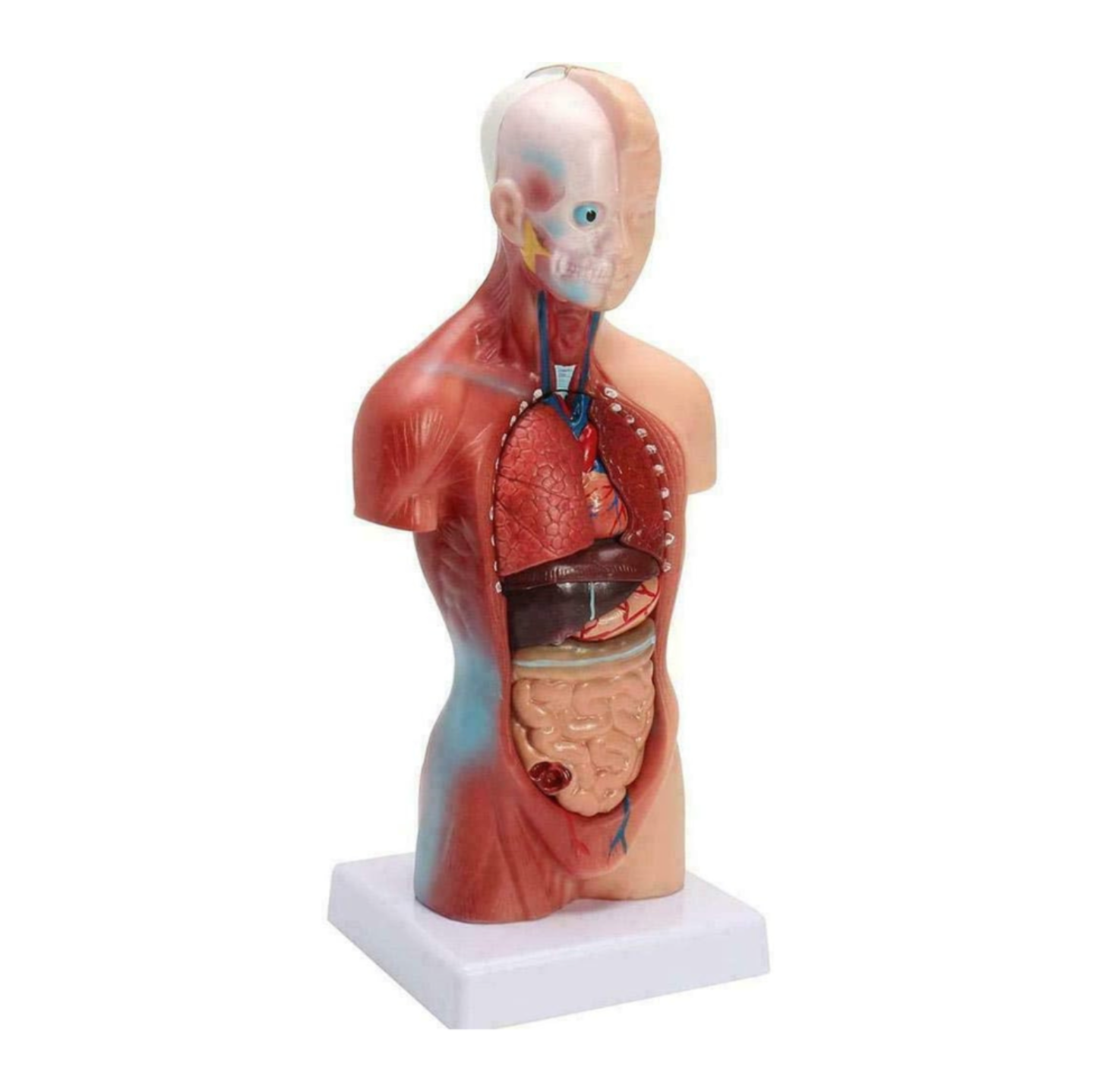 Link Image