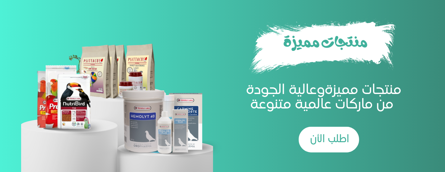 متجر طائر الروز image-slider-0