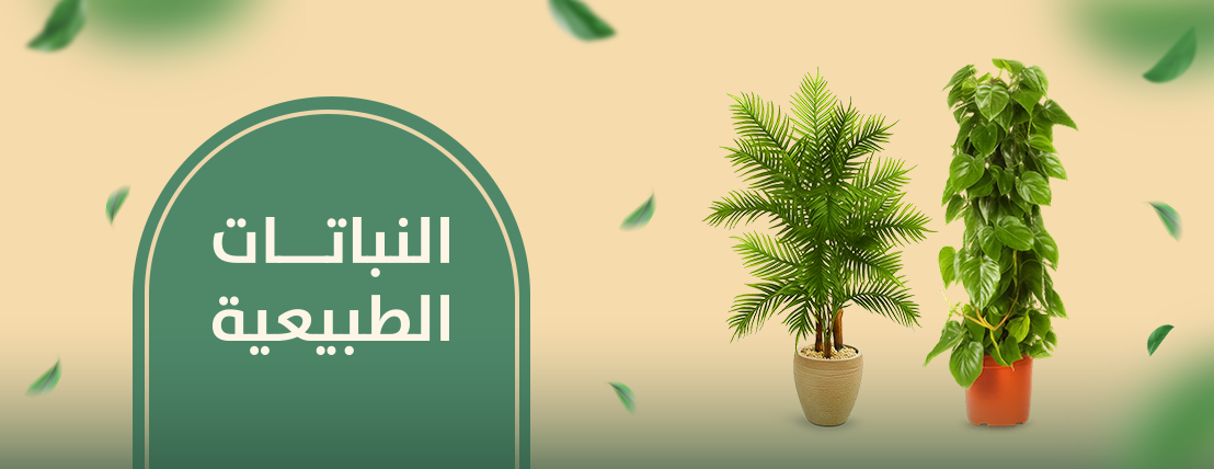 plant-pots (أحواض ومراكن وأشجار) image-slider-0