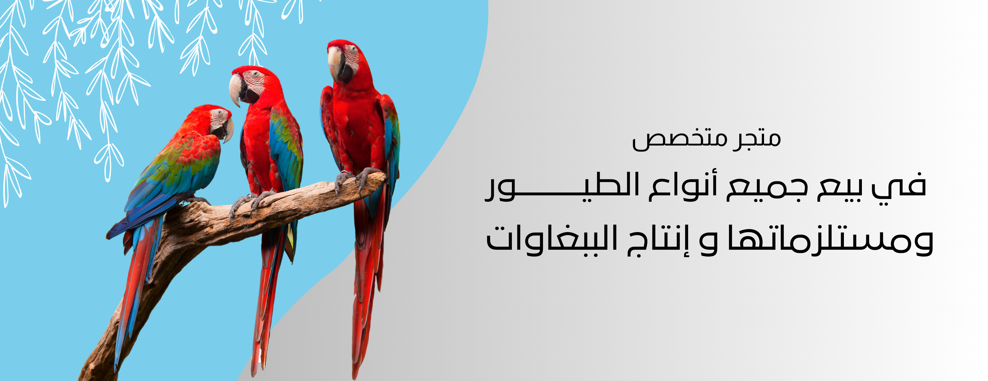 متجر ابو طلال image-slider-1