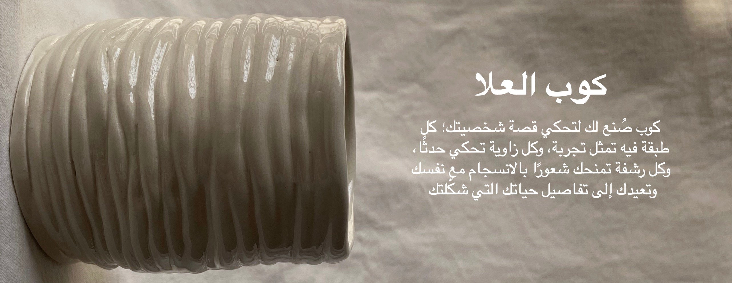 Esra Sabri image-slider-1